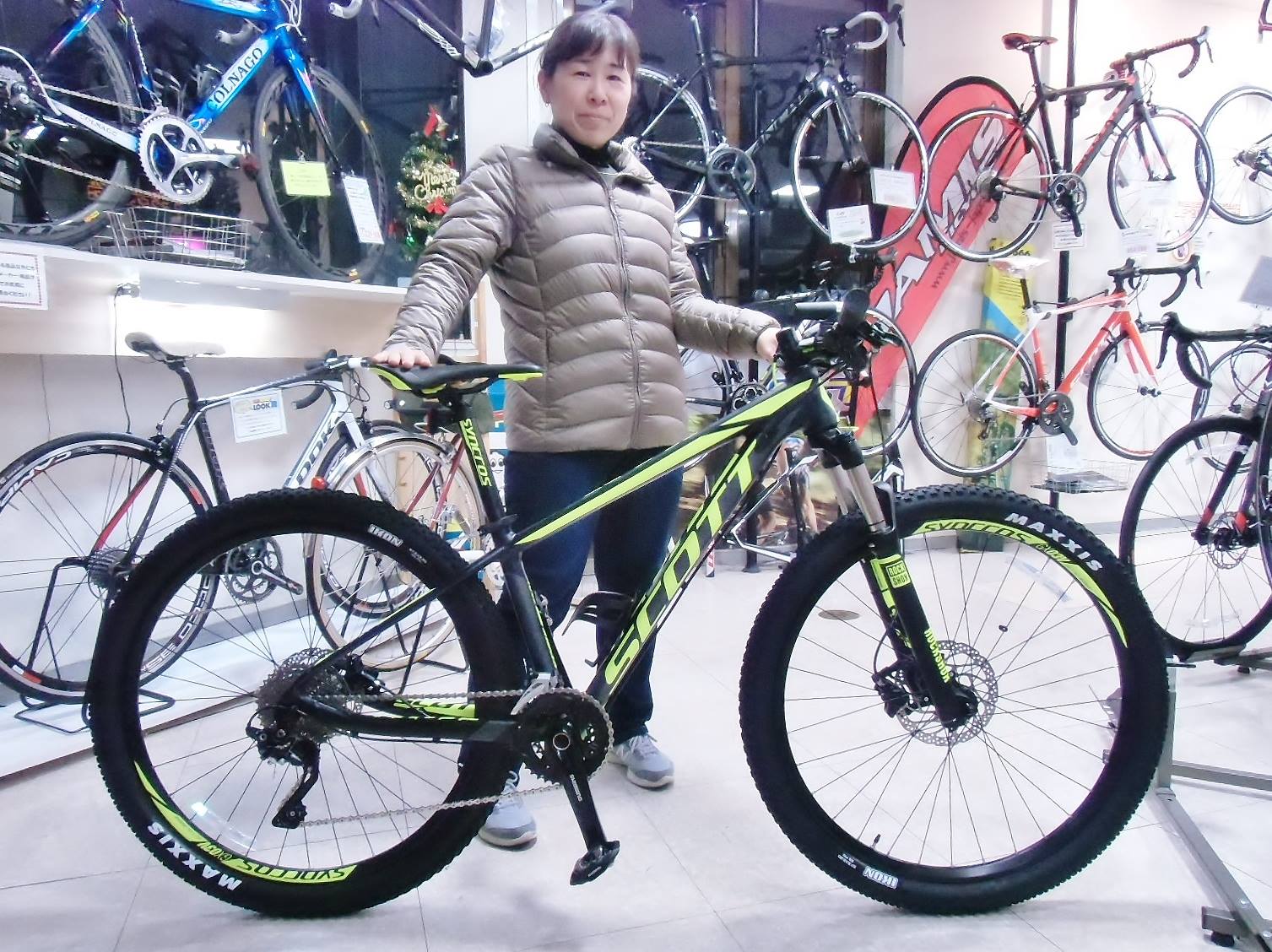 専用 SCOTT スコット MTB マウンテンバイク www.vetrepro.fr