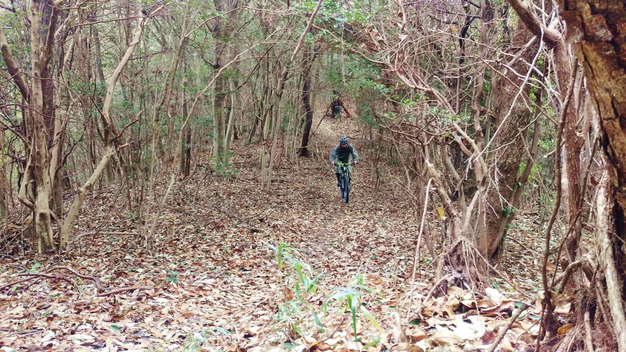 MTB マウンテンバイク トレイル 27.5インチ 650B 26インチ オフロード 山サイクリング 練習会 広島県福山市 FINE fine ファイン MTB マウンテンバイク トレイル 27.5インチ 650B 26インチ オフロード 山サイクリング 練習会 広島県福山市 FINE fine ファイン